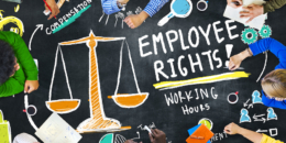 حقوق الموظف في القطاع الخاص.. دليلٌ مجّانيٌ متكامل 